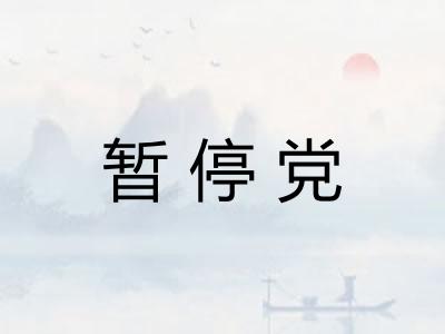 暂停党 暂停党