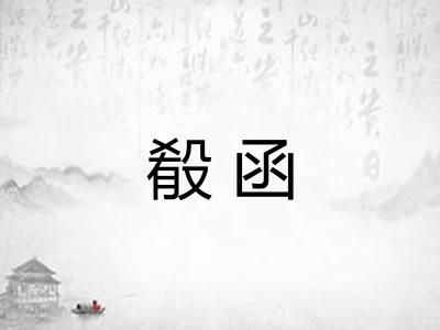 殽函