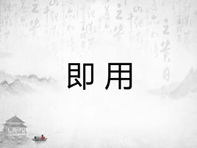 即用 即用