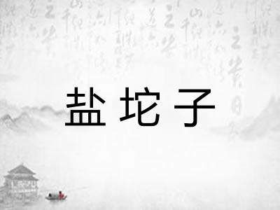 盐坨子