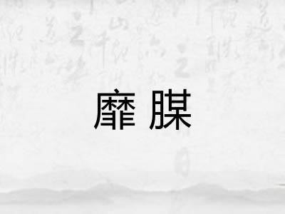 靡腜