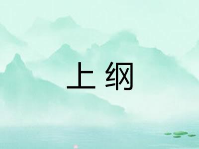 上纲