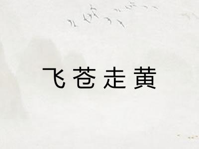 飞苍走黄 飞苍走黄