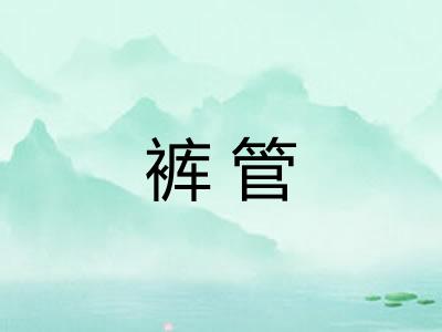 裤管