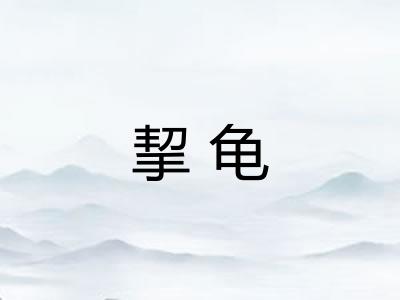 挈龟