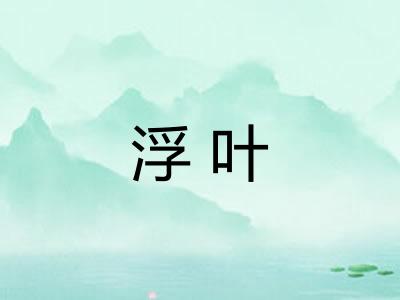 浮叶 浮叶