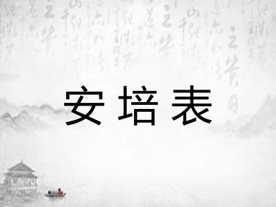 安培表