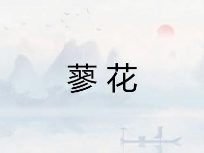 蓼花 蓼花