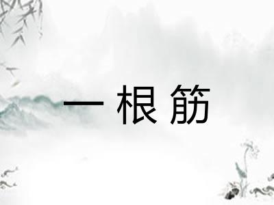 一根筋