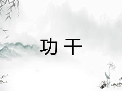 功干