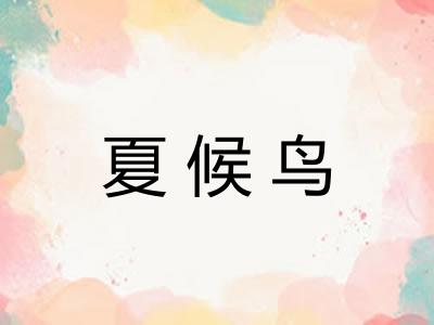 夏候鸟