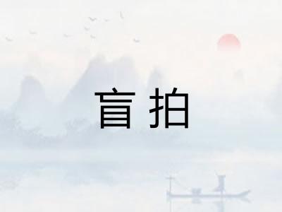 盲拍