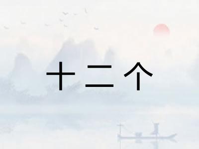 十二个 十二个