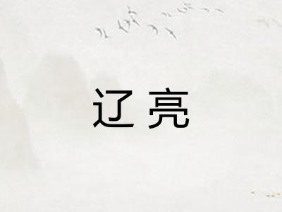 辽亮