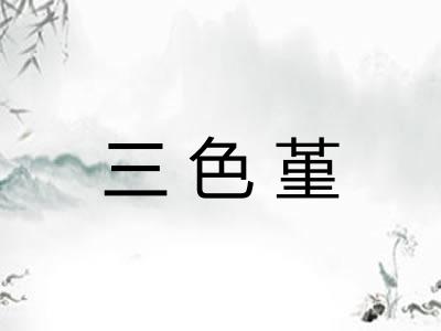 三色堇 三色堇