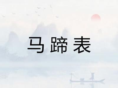 马蹄表