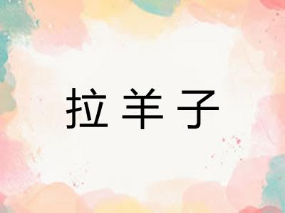 拉羊子 拉羊子