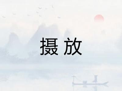 摄放