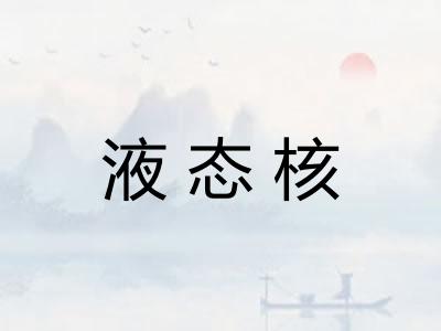 液态核