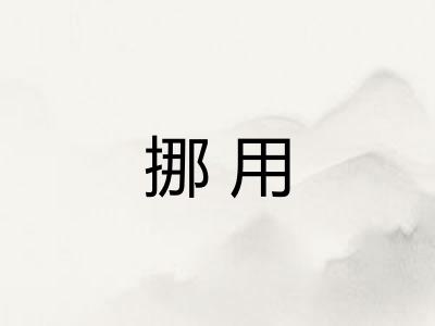 挪用 挪用