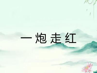 一炮走红