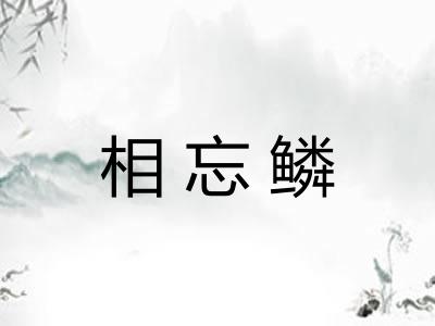 相忘鳞