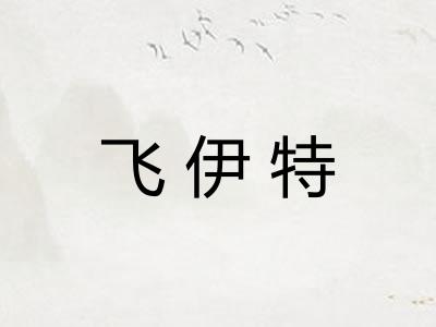 飞伊特