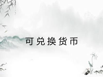 可兑换货币 可兑换货币