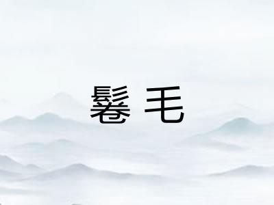 鬈毛