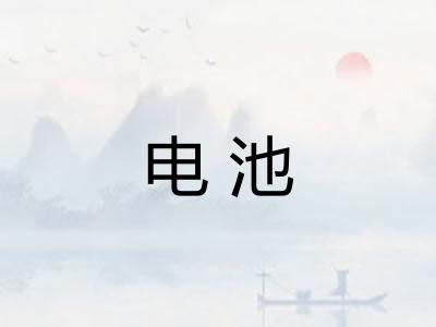 电池 电池