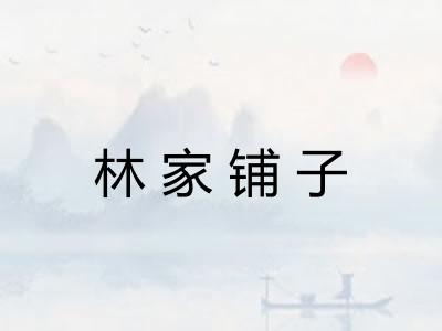 林家铺子