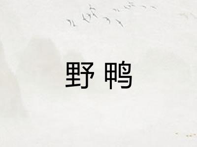 野鸭