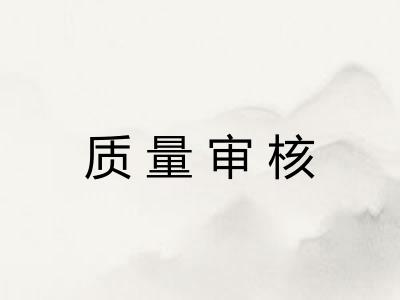 质量审核