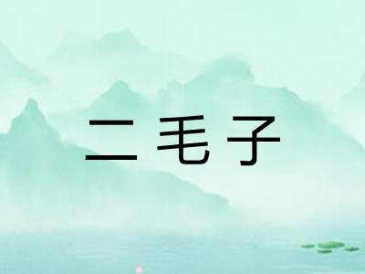 二毛子 二毛子