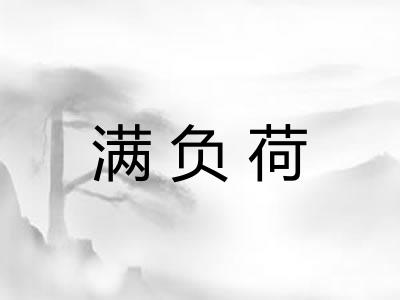 满负荷 满负荷