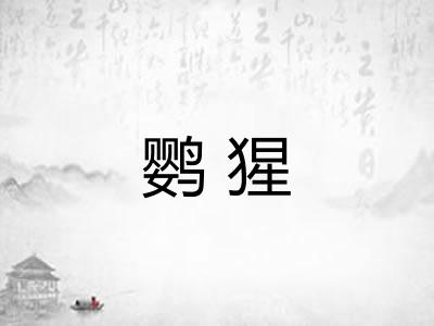 鹦猩