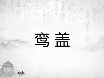 鸾盖