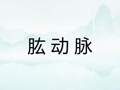 肱动脉