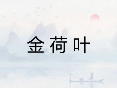 金荷叶 金荷叶