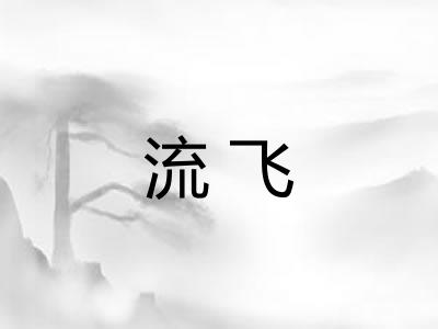 流飞 流飞