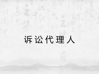 诉讼代理人 诉讼代理人