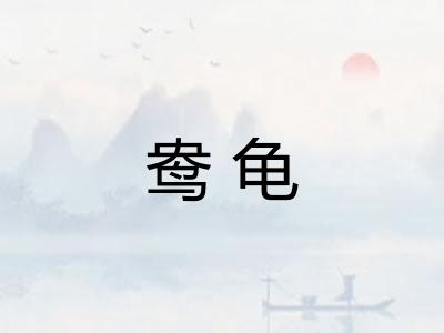 鸯龟