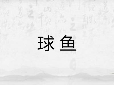 球鱼