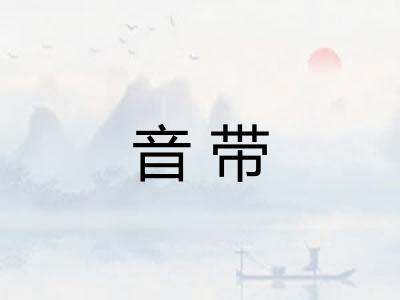 音带 音带