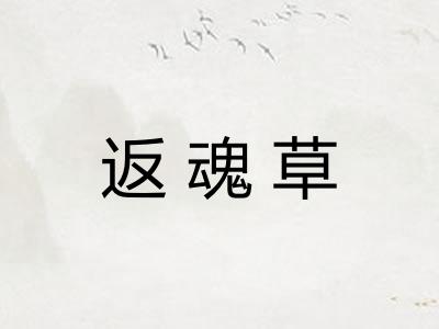 返魂草