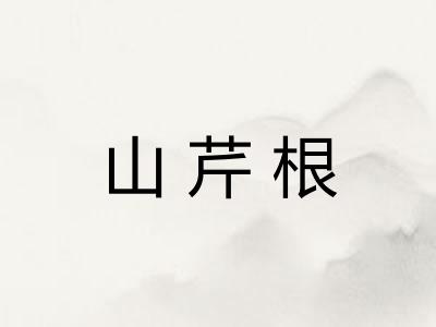 山芹根