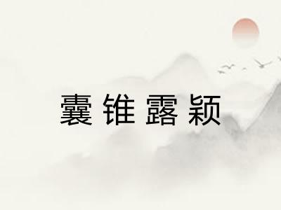 囊锥露颖