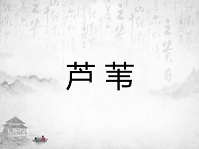 芦苇