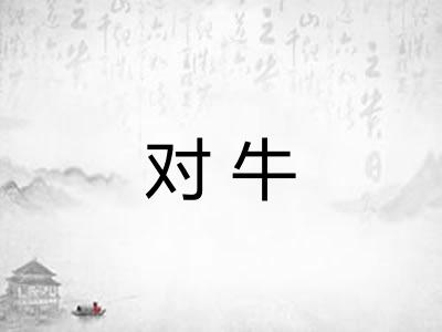 对牛
