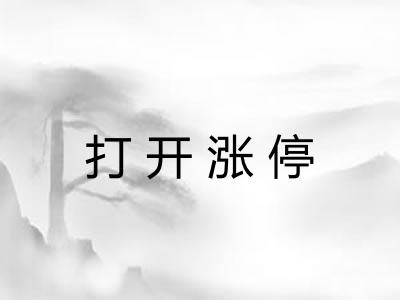 打开涨停 打开涨停